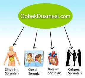 Göbek Düşmesinin Zararlarını gösteren resim www.gobekdusmesi.com